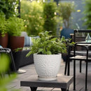 G EPGardening 8 Inch Ceramic Plant Pot with Drainage Hole and Saucer Round Planter Pot for Indoor Outdoor Plants Modern Large Flower Pot White by CozyNest Decor