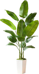 Lifelike Bird of Paradise Silk Artificial Plant Faux Banana Leaf Tree for Home Decor - Perfect Indoor Floor Plant with 11 Trunks (1, White Tall Planter, 6.6 FT) by CozyNest Decor