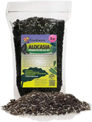 Alocasia Plant Potting Soil - Enhance Leaf Beauty and Health with Professional Grade Nutrient-Rich Mix - 3 Quart by GreenHaven Gardens