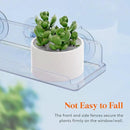 Lifewit Window Plant Floating Shelves 15 inch, 4 Pack Acrylic Suction Cup Shelf, Window Sill Extender for Indoor Succulent Plants, Micro Greens, Seed Starter Pots, Herb Planters by GreenHaven Gardens