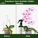Premium Orchid Plant Food Mist – Orchid Fertilizer Spray – Orchid Food Fertilizer for Blooming – Orchid Plant Care Formula 3-1-2 – Ready-to-Use (8 OZ) by GreenHaven Gardens
