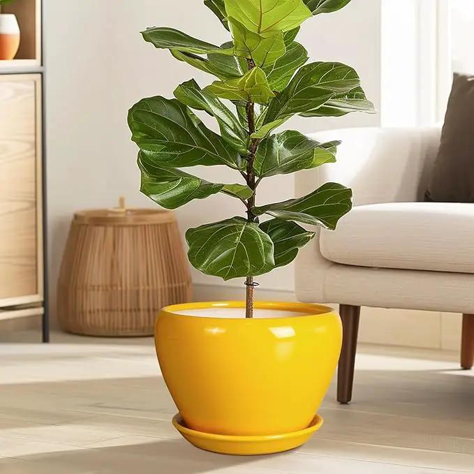 Ceramic Planter - 10 Inch Plant Pot for Indoor Outdoor Plants Glaze Modern Round Planter with Drainage Hole and Saucer for Garden Office Home Room Patio Decor, Yellow, photo 2 of 7