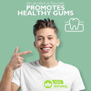 Elementa Silver Non-Foaming Toothpaste Wintermint Flavor | 5 in 1 Teeth Whitening Gel 4 Fl oz | Dentist Formulated All Natural | Professional Whitening Gel | Fluoride Free | Fresh Breath by CozyNest Decor