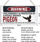 Warning Sign, Pigeon Warning Wood Plaque Sign, Funny Door Signs, Decorative Wood Hanging Suspension Plaque, Farmhouse Wooden Wall Decor, Outdoor Hanging Wooden Signs by CozyNest Decor