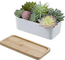 MyGift Assorted Artificial Succulent Plant Arrangement Potted in White Ceramic Planter Pot with Removable Bamboo Tray by CozyNest Decor