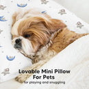 Mini Toddler Pillow with Pillowcase - 9x13 My Little Dreamy Travel Kids Pillow for Sleeping, Toddler Bed, Small, Tiny, Organic Cotton Pillowcase, Soft & Breathable, Kids 2-4 Years Old(Space Drift) by TinyTreasures Baby Boutique