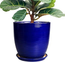 Ceramic Planter Pot - 12 Inch Pot for Plants Large Indoor Plant Pot with Drainage Hole and Saucer Fluted Round Planter for Outdoor Plants Flower Pot for Home Garden Blue by GreenHaven Gardens