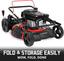 PowerSmart 21 in. Gas Lawn Mower with 144cc OHV Engine, 2-in-1 Push Mower with Mulching & Side-Discharge by GreenHaven Gardens