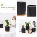 AOMRYOM 4.25 Inch Small Garden Ceramic Plant Pots with Drainage Holes and Tray, Modern Flower Planter Pots for Indoor Plants, Succulent, Cactus and Herbs, Black Stripe, Set of 4 (Plant Not Included) by GreenHaven Gardens