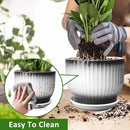 8 Inch Plant Pot, Ceramic Planter with Drainage and Saucer, Ceramic Pots for Plants, Indoor Plant pots,Ceramic Flower pots(Black + White, Plants NOT Included) by GreenHaven Gardens