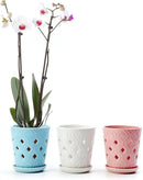 Whispering Winds Ceramic 5 x 6 Inch Orchid Pot with Holes & Saucer for Aeration and Drainage - Decorative Orchid Pots for Repotting, Prevent Over Watering & Root Rot (Charlotte Blue) by GreenHaven Gardens