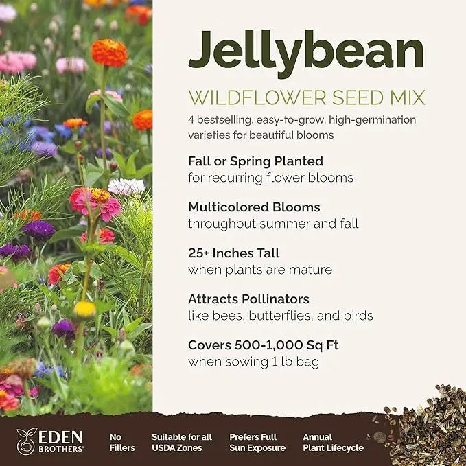 Eden Brothers Jellybean Flower Mixed Seeds for Planting, 1 lb, 480,000+ Seeds with Zinnia, Cornflower, Cosmos, Calendula | Attracts Pollinators, Plant in Spring or Fall, Zones 3, 4, 5, 6, 7, 8, 9, 10, photo 2 of 6