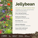 Eden Brothers Jellybean Flower Mixed Seeds for Planting, 1 lb, 480,000+ Seeds with Zinnia, Cornflower, Cosmos, Calendula | Attracts Pollinators, Plant in Spring or Fall, Zones 3, 4, 5, 6, 7, 8, 9, 10 by GreenHaven Gardens