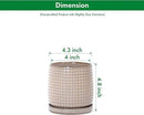 D'vine Dev 4 Inch Ceramic Beaded Stoneware Planter Pot - Flower Pot with Drainage Holes and Saucers for Indoor Succulent Plants or Flowers, Light Brown, 27-C-Z-4 by GreenHaven Gardens