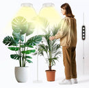 GLOWRIUM Indoor Grow Light, 40 Watt Full Spectrum LED Plant Growth Light with Stand, Adjustable Height with Timer 3/9/12 hrs, White LED Plant Lamp by GreenHaven Gardens