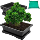 GROWNEER Large Bonsai Training Pots 3 Packs 14 Inch with Drainage Humidity Trays, Bonsai Tree Starter Kits with 1 Repotting Mat, Growing Rectangle Planter for Garden Yard Office Indoor Outdoor by GreenHaven Gardens
