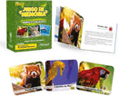 Menique Wild Animals Memory Matching Game – Spanish Edition – 80 Cards (40 Pairs) with Real Photos – Educational Game in Spanish for Kids and Adults – Includes Booklet by TinyTreasures Baby Boutique