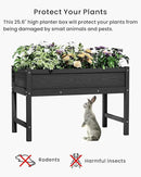 HDPE Raised Garden Bed with Legs, Outdoor Weather-Resistant Elevated Planter Box Stand for Seeds, Herbs, Flowers, Vegetables (Black) by GreenHaven Gardens