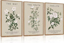 Aurlan The Way The Truth The Life Bible Verse Framed Wall Art(16"x24"), 3PCS Boho Christian Scripture Canvas Artwork, Large Floral Botanical Job 23:11 Psalm 43:3 John 14:6 Decor for Home Bedroom by CozyNest Decor