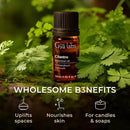 Gya Labs Cilantro Essential Oil for Diffusers - 0.34 Fl Oz - 100% Natural Cilantro Oil for for Skin, Massage, Aromatherapy & Candle Making Scent by CozyNest Decor