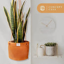 Large Waxed Canvas Handmade Hanging Planter for Indoor/Outdoor Plants, Hanging Basket Plant Holder Dijon Yellow by GreenHaven Gardens