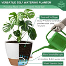 montresor 12/10/8 Inch Self Watering Pots for Indoor Plants Plastic Large Pot for Outdoor Plants, Water Level Window & Spacious Reservoir Flower Pots Decorative Planter with Drainage and Tray (White) by CozyNest Decor