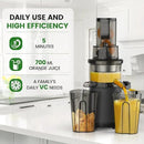 Slow Masticating Cold Press Juicer: Cold Pressed Juicer Machines For Vegetable And Fruit 200W, Matte Grey by CozyNest Decor