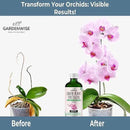 Liquid Orchid Fertilizer Concentrate 3-1-2 with Micronutrients Orchid Care Made Easy (8 OZ) by GreenHaven Gardens