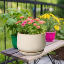 G EPGardening Ceramic Plant Pots - 9 Inch Round Planter, Ceramic Flower Pots with Drainage and Saucer, Modern Indoor Outdoor Planter, Room Decor, Home Gifts, Beige by GreenHaven Gardens