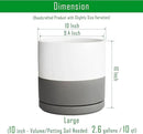 D'vine Dev 10 Inch Ceramic Planter Pot with Drainage Hole and Saucer, Indoor Cylinder Round Planter Pot, White/Speckled Grey, 94-O-E-6 by GreenHaven Gardens