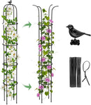 Garden Obelisk Trellis for Climbing Plants Outdoor 6.2 Ft Rose Bush Round Trellis for Pots Rustproof Metal Plant Flower Trellises for Clematis Vine Jasmine Support Outdoor Indoor (Black, 6.2ft) by GreenHaven Gardens