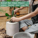 Mozing Cement Plant Pots Indoor - 8.2 inch Concrete Planter Pot for Planting - Modern Stone Clay Flower Pot with Drainage Hole for Garden, Home, Office Decor, Grey by GreenHaven Gardens