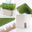 Amazing Creation Window Herb Planter Box, Vibrant Window Herb Garden, Self-Watering Rectangular Planter for Kitchen, Plants, and Succulents - Set of 3 by GreenHaven Gardens