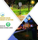 Aityvert Upgraded Larger Solar Torch Lights, Waterproof Outdoor Dancing Flames Light, Flickering Flames Garden Light, Landscape Decoration Pathway Patio Lights 43" 96 LED (6 Pack) by GreenHaven Gardens