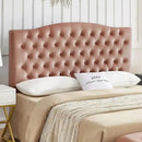 24KF Upholstered Tufted Button Velvet Headboard,Comfortable Fashional Headboard Queen/Full Size,Blush by CozyNest Decor