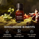 Gya Labs Star Anise Essential Oil for Skin - 0.34 Fl Oz - 100% Pure Natural Star Anise Oil for Diffuser, Hair, DIY & Aromatherapy & Candle Making Scent by CozyNest Decor