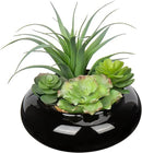 Large Artificial Succulents Plants Faux Succulents in Pots Fake Succulent Arrangement Potted Plants with Black Ceramic Pot for Office Desk Bathroom Shelf Living Room Indoor & Outdoor Home Decor by GreenHaven Gardens
