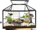 Ferrisland Glass Terrarium Greenhouse House Shape Display Box Planter for Succulents Plant Terrarium Container Mordern Tabletop Decor Gardern DIY Kit by GreenHaven Gardens