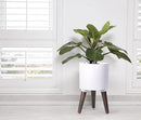 D'vine Dev 8 Inch Planter Pot with Stand, Mid-Century Tall Plant Pot with Legs for Indoor Plants, Small, White, 88-O-A-1 by GreenHaven Gardens