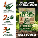 Organic Sea Kelp Fertilizer for Plants – Water-Soluble – Makes 100 Gallons – Kelp Meal Concentrate Plant Food – for Indoor Gardens, Hydroponics, Vegetables, Houseplants - Smart Grower - 4oz Bag by GreenHaven Gardens