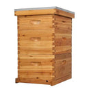VINGLI 10-Frame Bee Hive, Wax Coated Beehive Starter Kit with Frames & Beeswax Coated Foundation Sheets (3 Layer) by GreenHaven Gardens