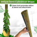DUSPRO 59’’ D-Shape Moss Pole for Climbing Plants Monstera Moss Plant Pole Handmade Moss Stick for Indoor Plants Grow Upward (59'', 1pc.) by GreenHaven Gardens