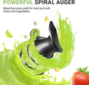 AMZCHEF Cold Press Juicer, Juicer Machines - 3.1" Large Feed Chute for Whole Fruits & Vegetables, Stainless Steel Slow Masticating Juicer Easy to Clean, Large Auger, Double Strainers, Silver by CozyNest Decor