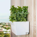 Glowpear Self Watering Planter Box - 23.6", White - UV Stable, Scalable Wall Mounts Plant Pot with Water Gauge, Indoor Outdoor for Vegetables, Flowers, Herbs, and Succulents, Gardening by GreenHaven Gardens