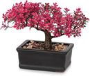 Artificial Bonsai Tree Juniper Faux Plants Indoor Fake Plants Decor with Ceramic Pots for Home Table Office Desk Bathroom Shelf Bedroom Living Room Farmhouse Decorations-Pink by GreenHaven Gardens