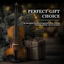 SONICAKE Violin 4/4 Full Size Set, Fiddle Solidwood for Beginners Adults, Acoustic Violin with Hard Case, Shoulder Rest, Rosin, Two Bows, Clip-on Tuner and Extra Strings, QVL-01 by TinyTreasures Baby Boutique