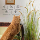 KOL Artificial 5ft 2-Pack Horsetail Reed Grass, 59in Tall Artificial Indoor Outdoor Fake Grass Plant, Home Office Décor Artificial Plants in Pot Faux Plant Greenery, Wedding Decor - Yellow by CozyNest Decor