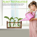 Plant Propagation Station Plant Terrarium Unique Birthday Gifts for Women Plant Lovers Home Office Decor Planter with Wooden Stand - 3 Bulb Glass Vase by GreenHaven Gardens