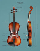 Fesley Violin Fiddle Full Set: 4/4 Matt Violin Kit for Beginners, Acoustic Violin with Hard Case, Solidwood Hand Made Starter Kit with Bow, Rosin, Shoulder Rest, Tuner, Extra Strings by TinyTreasures Baby Boutique