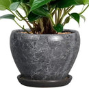 Ceramic Planter - 6 Inch Plant Pot with Drainage Hole and Saucer, Succulent Pot Glaze Round Flower Pot for Indoor Outdoor Plants, Gray by GreenHaven Gardens